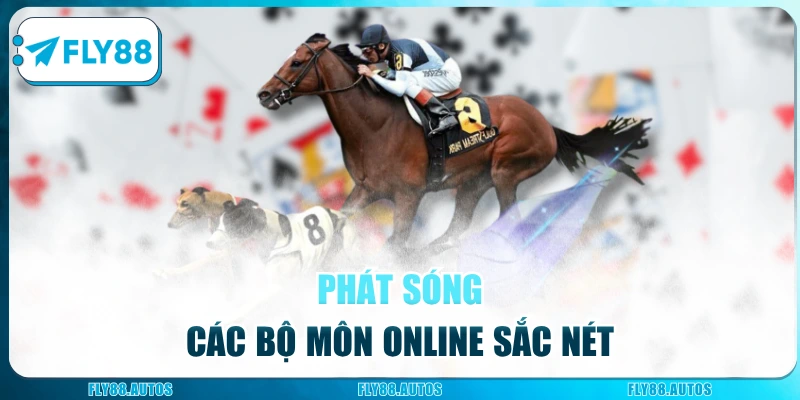Phát sóng các bộ môn online sắc nét