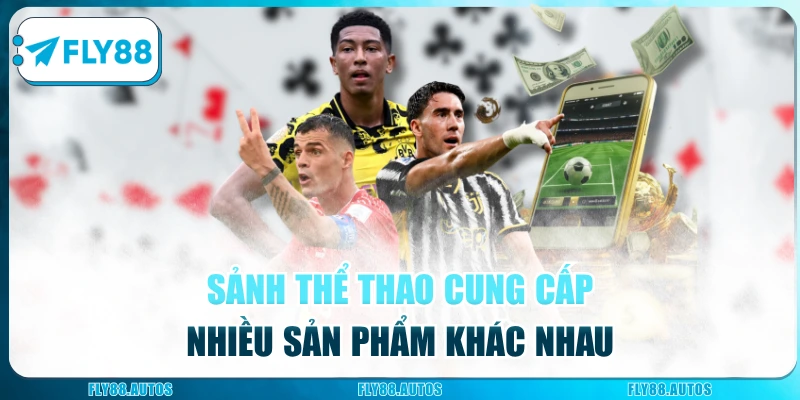 Thể thao tại Fly88 cung cấp nhiều sản phẩm khác nhau