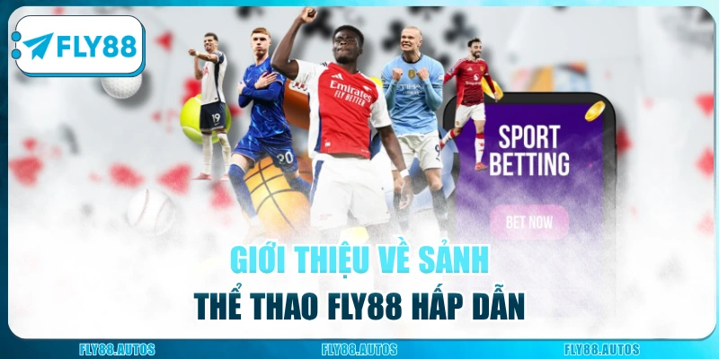 Giới thiệu về sảnh thể thao Fly88 hấp dẫn