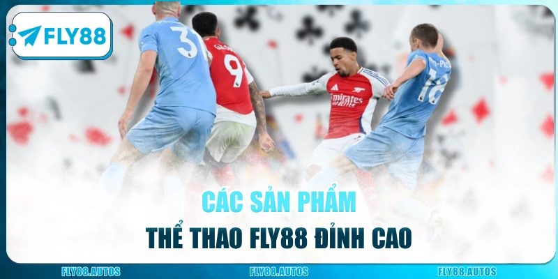 Các sản phẩm thể thao Fly88 đỉnh cao